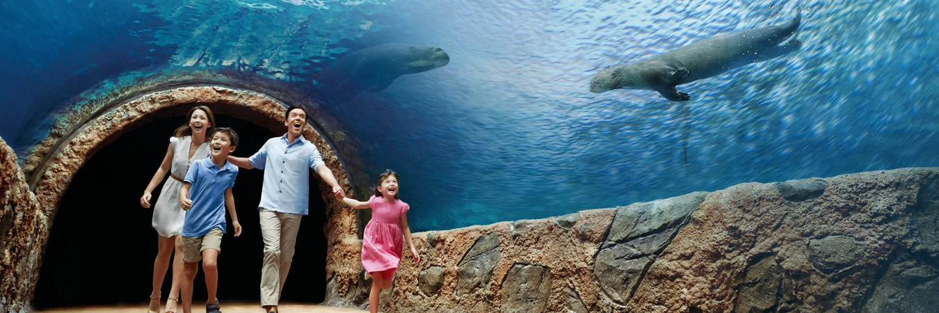 Splendour Singapore Cruise