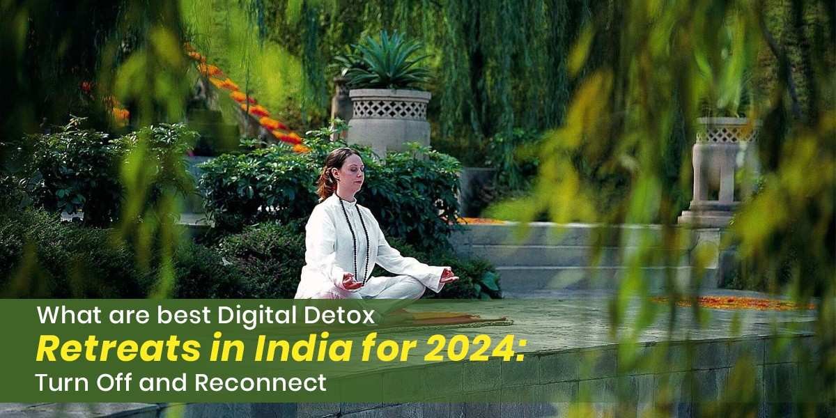 what-are-best-digital-detox-retreats-in-india-for-2025-turn-off-and-reconnect